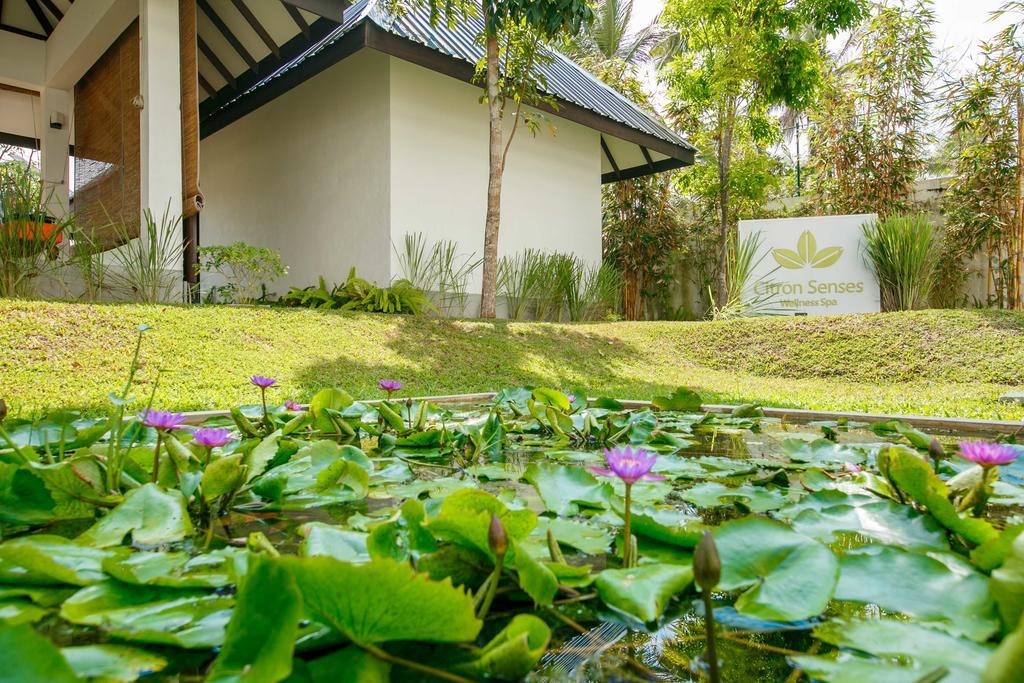 Citrus Waskaduwa Hotel Bentota Bagian luar foto
